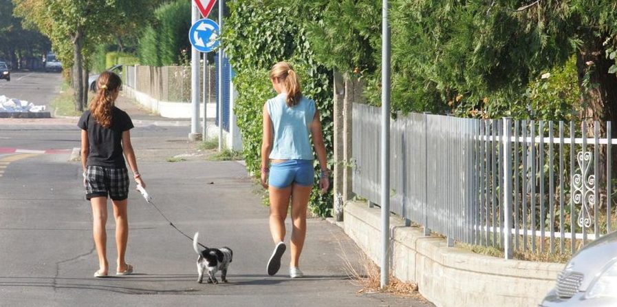 Torino – Allarme maniaco in auto: ferma giovani donne e mostra i genitali, la segnalazione