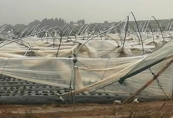 Torino – I nubifragi colpiscono la provincia, campi devastati “Mai così grande il territorio danneggiato”