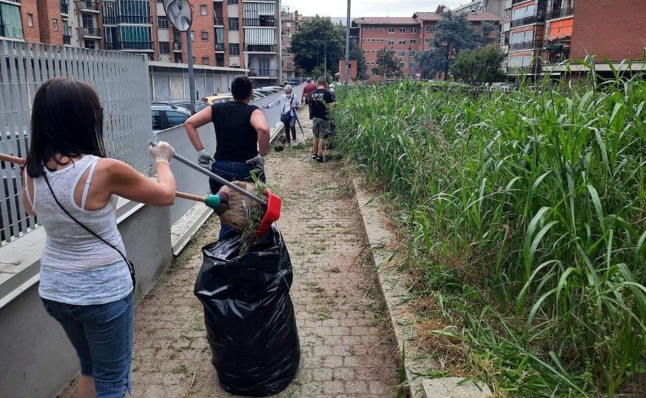 Torino – L’erba alta a Santa Rita invade i marciapiedi, intervengono residenti e volontari
