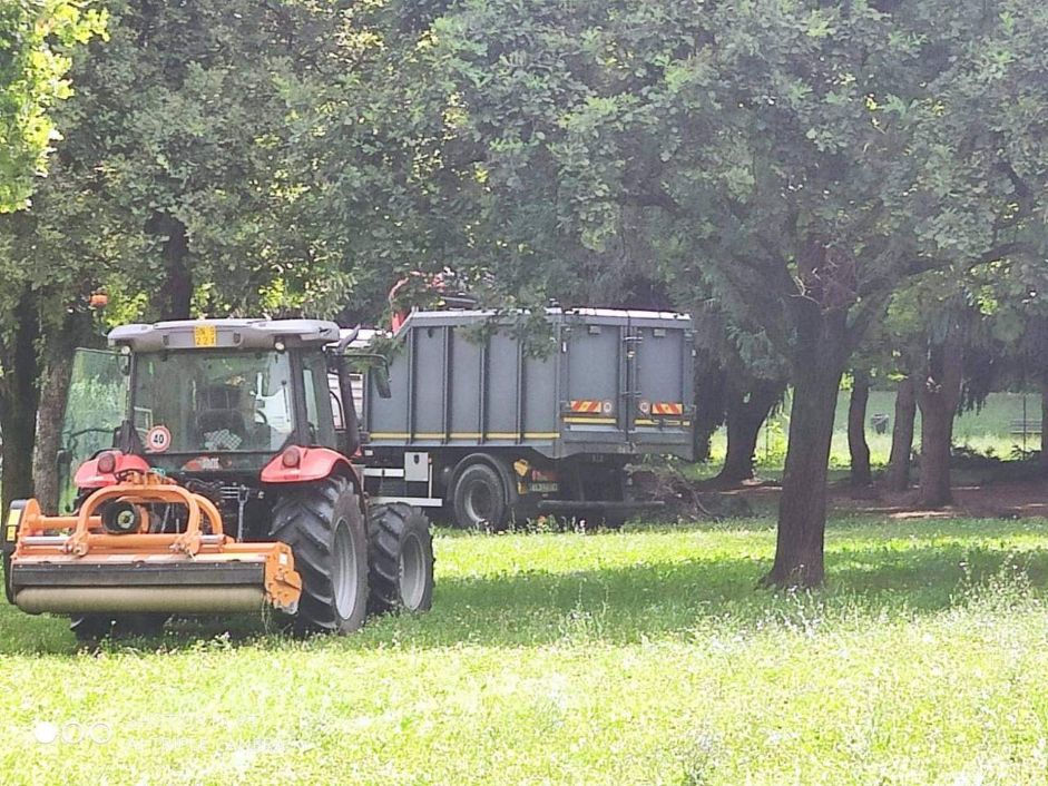 Torino – Finalmente sgomberato il ‘Tossic Camping’ di Parco Sempione “Ora i cittadini potranno tornare al parco