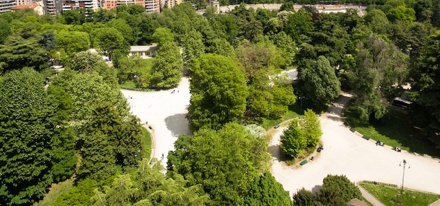 Torino sempre più verde – Due alberi piantati per ogni bimbo nato in città: il progetto avanza