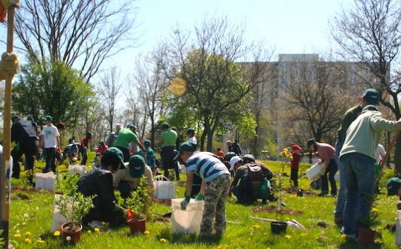 Torino – Il bel gesto della Comunità pakistana: donati 100 alberi alla città per celebrare la sua festa