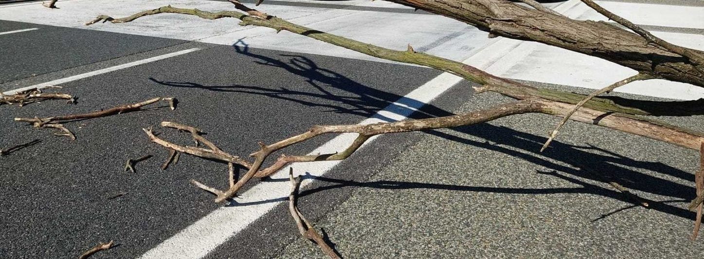 Torino – Albero cade in Tangenziale e ferisce motociclista (gravissimo) – Indagato direttore di Ativa