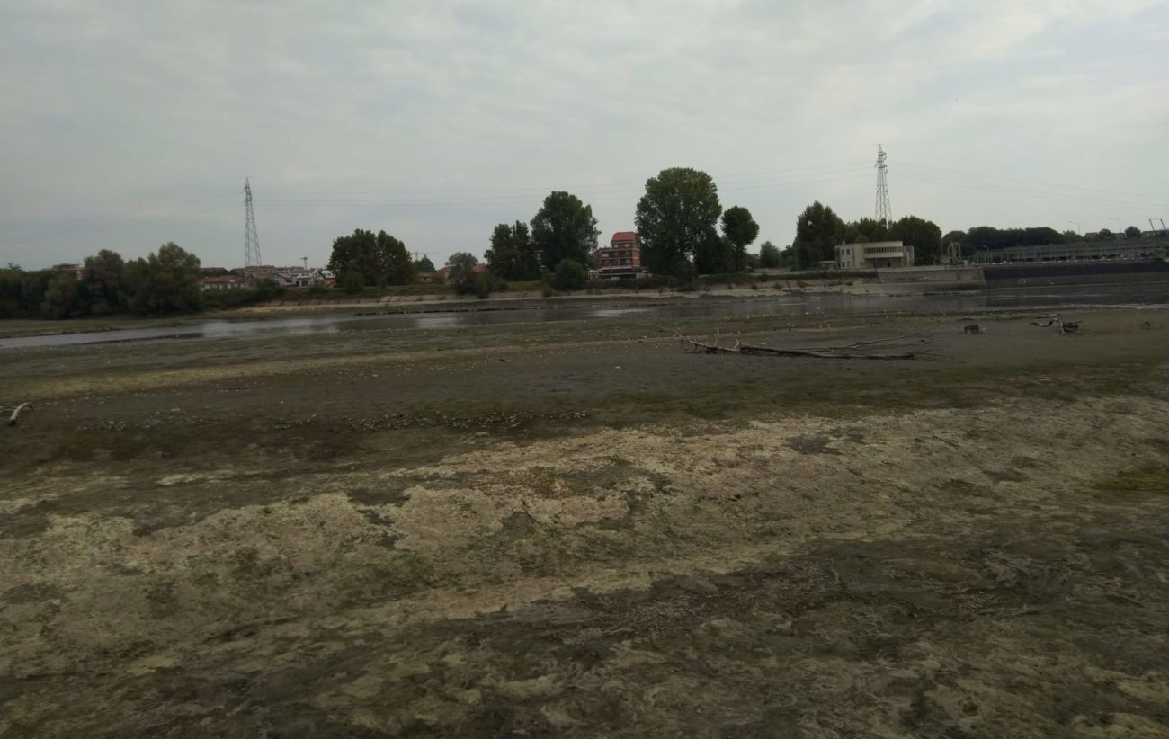 Effetto siccità a Torino – Strage di pesci nel tratto torinese del Po: portata del fiume ridotta del 50%, è allarme