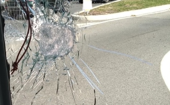 Torino – Paura sull’autobus: ignoto lancia oggetto dalla strada, spacca parabrezza e fugge. Ferito l’autista