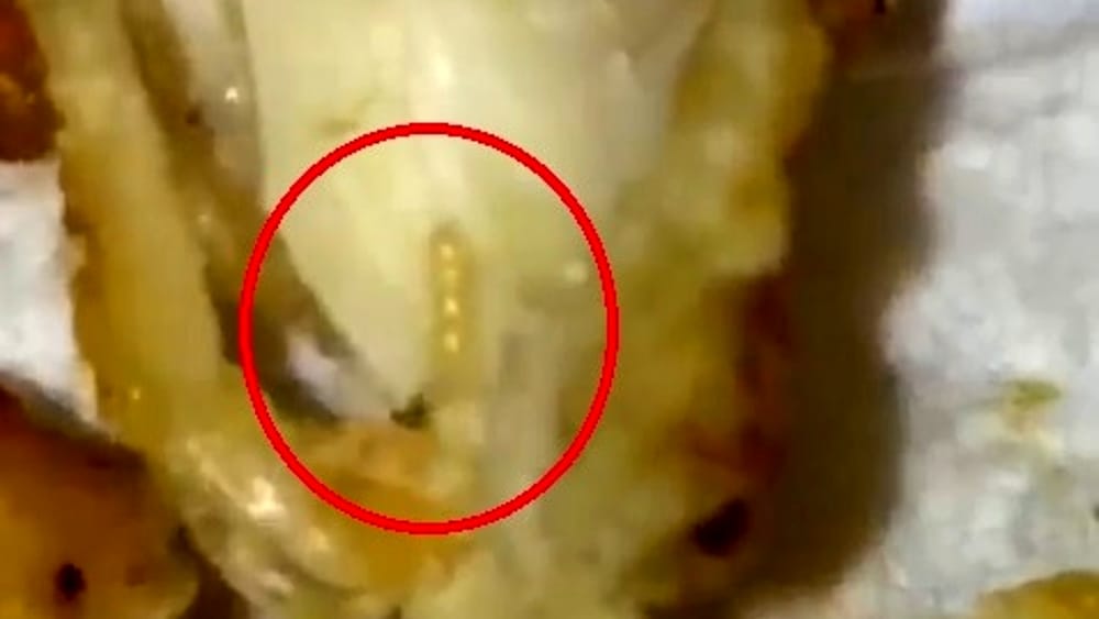 Disgusto a Torino – “Vermi nel cibo della mensa dell’ospedale”. La segnalazione