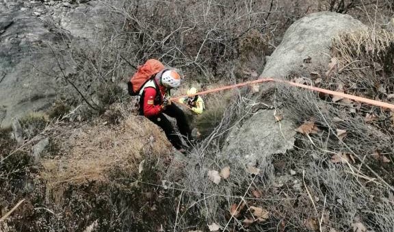 Piemonte – Cane si perde e resta bloccato per due giorni su una roccia: salvato dai Vigili del Fuoco e riportato ai padroni