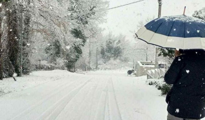 Neve a Torino – L’opposizione attacca il sindaco “Un vero disastro, periferie in tilt, Lo Russo spieghi”