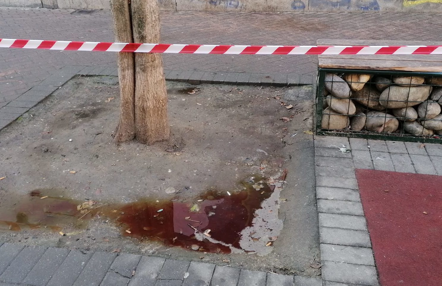Degrado totale a Torino – Bimbi trovano pozza di sangue davanti alla scuola dopo l’ennesima rissa in strada