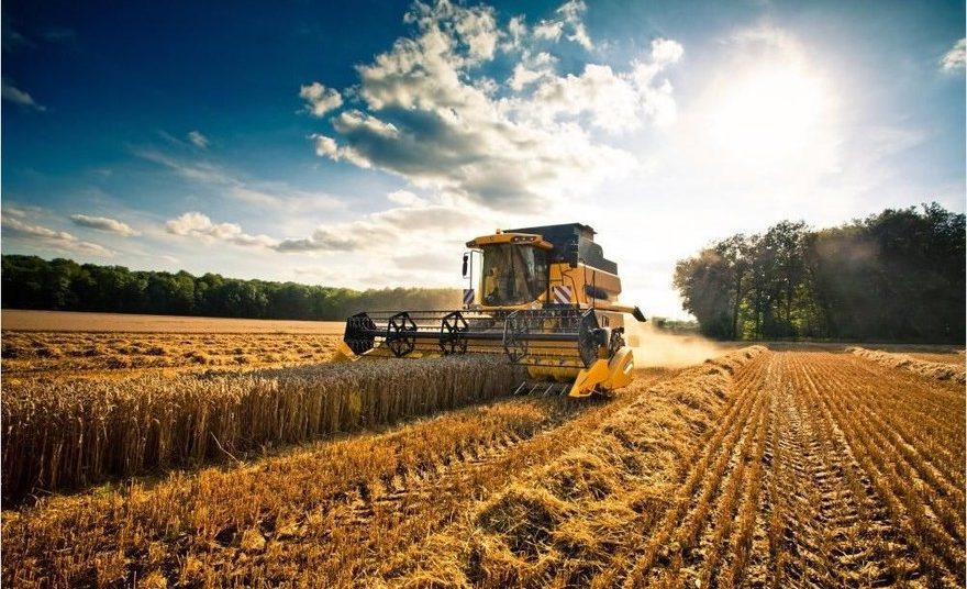 Il Piemonte proroga i pagamenti agro-climatico-ambientali e li finanzia con 34 milioni di euro. Il piano