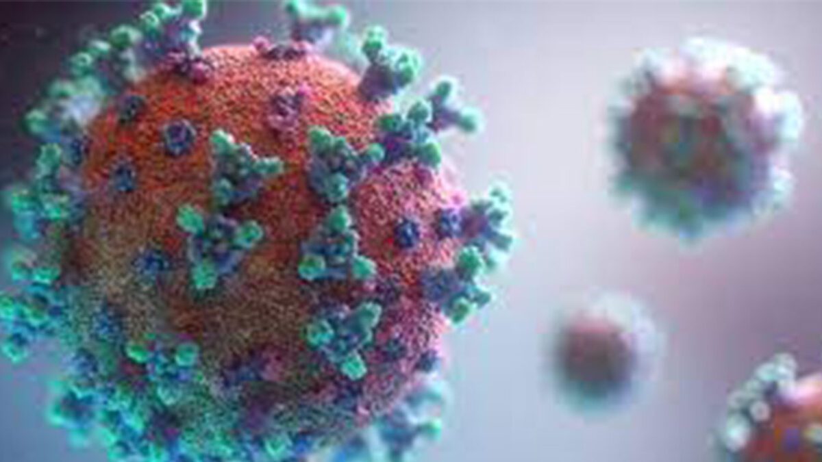 Covid in Italia – Arriva la sotto variante di Omicron: si chiama BA.2.3