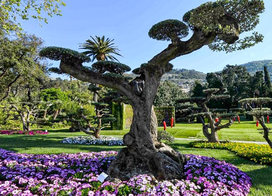 Il Piemonte protagonista ad Euroflora 2022 – Presentato un allestimento sensoriale dedicato al rapporto Uomo-Natura