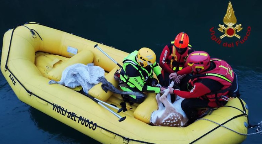 Dramma nel Torinese – Ripescato cadavere di una donna in un canale, i carabinieri indagano