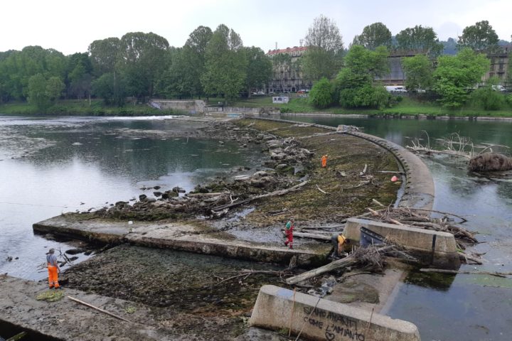 Torino – Ancora interventi sul Po: “Abnorme produzione di vegetazione acquatica”. La situazione
