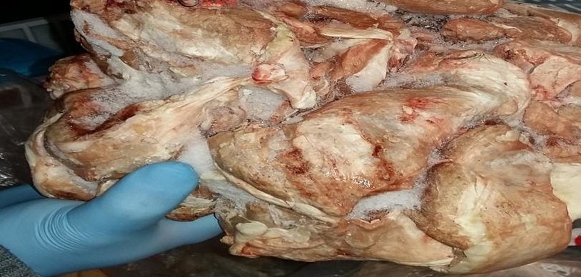 Torino – Market da incubo: sequestrati quasi 3 quintali di pollo e pesce mal conservati. Denunciato il titolare