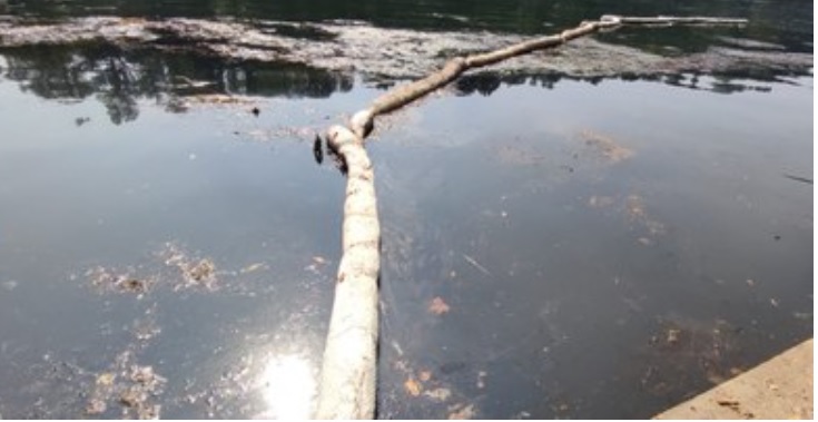 Torino – Chiazze oleose sul Po, al Parco del Valentino. La situazione e i controlli di Arpa