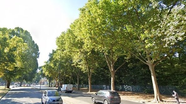 Torino – Alberi malati e a rischio: scatta l’abbattimento in corso Belgio e corso Novara. L’intervento