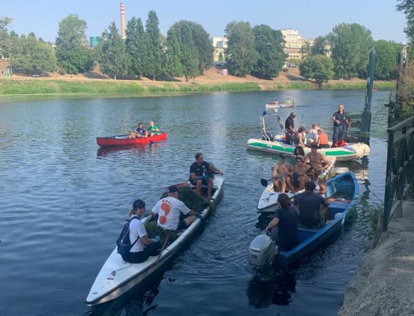 Torino – Proliferazione abnorme di vegetazione nel Po per il cado estremo. L’intervento nelle acque