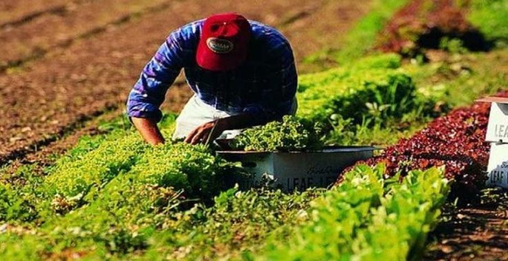 Piemonte – Ancora dramma sul lavoro: a 30 anni muore bracciante, schiacciato da un pezzo di macchina