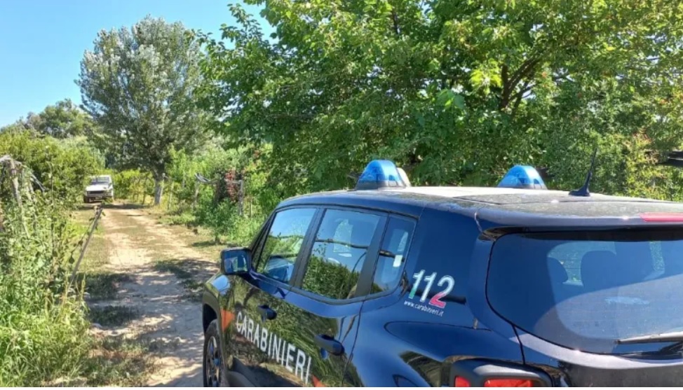 Piemonte – Ruba acqua dal torrente, stavolta per coltivare droga: la scoperta dei Carabinieri