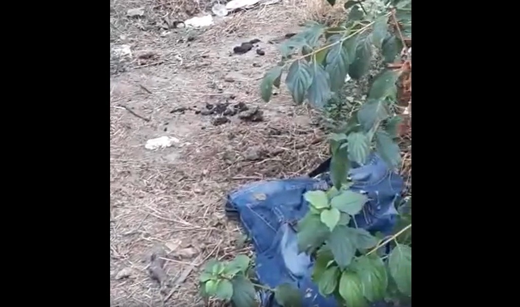 Degrado a Torino – “I Giardini sono una latrina a cielo aperto. E’ una vergogna”. La denuncia