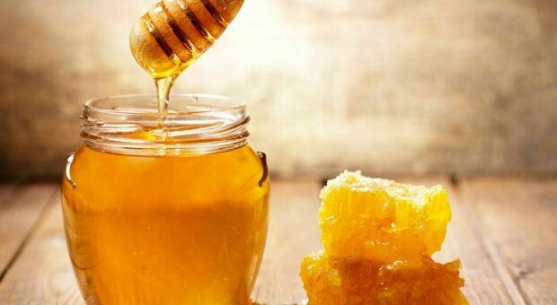 Piemonte – Caldo e siccità: crolla la produzione di miele. Ed è addirittura scomparsa la ‘melata’