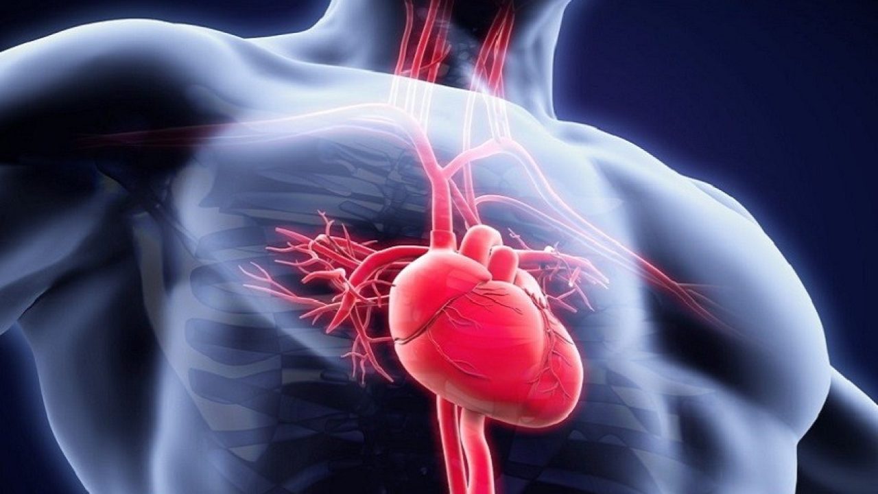 Torino all’avanguardia nella prevenzione delle insufficienze cardiache – Ecco gli ultimi risultati del Politecnico