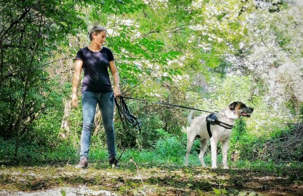 Torino – Era un cane killer, ora è un cane molecolare (che salva le persone). La magica storia di ‘Ottone’