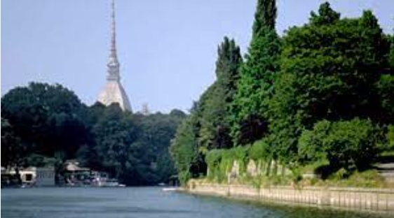 Torino – “Verde anche sui binari del tram 4”. La città si trasforma per sostenere la lotta ai cambiamenti climatici. Parte la nuova campagna