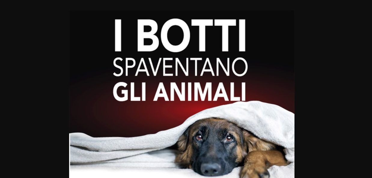 A Torino botti e petardi vietati, anche il 31 dicembre:  “Tuteliamo la salute di persone e animali”. Multe fino a 500 euro