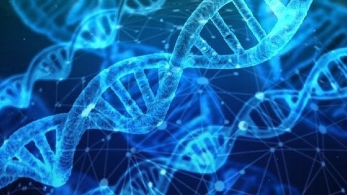 A Torino una grande scoperta: individuato nuovo gene dell’autismo. Attenzione mondiale sul lavoro