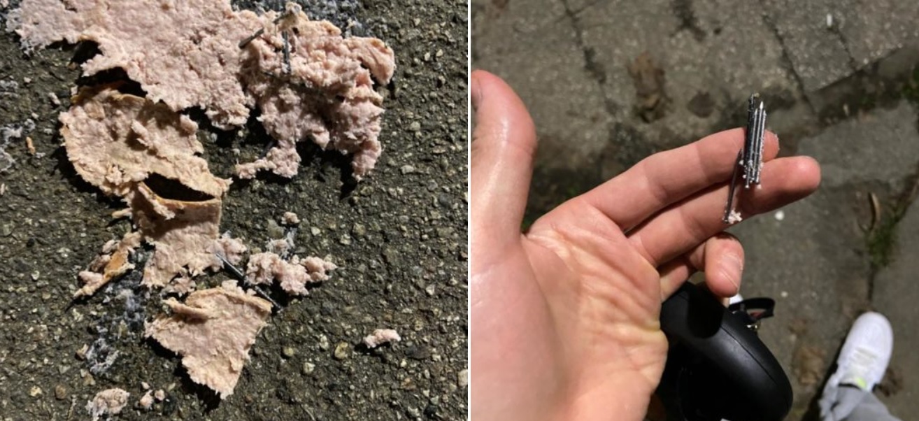 Torino – Trovati al parco di Mirafiori altri wurstel con chiodi per uccidere i cani