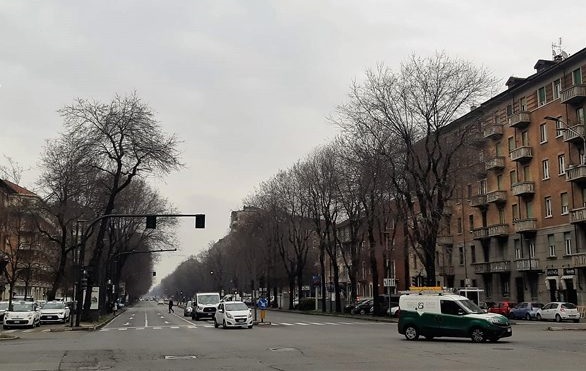 Torino – Al via la maxi potatura dell’alberata di corso Trapani. Obiettivo: combattere le cimici
