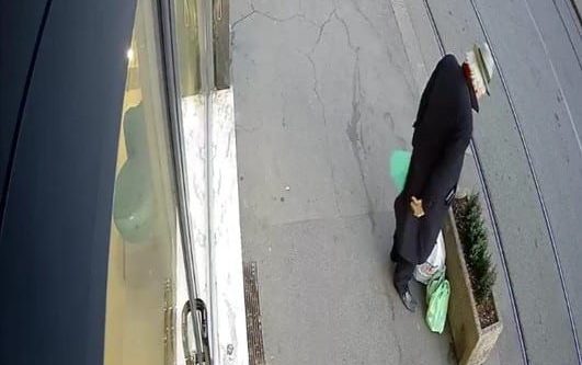 Torino – Ruba le piante dalle aiuole e se le porta a casa: ripreso dalle telecamere