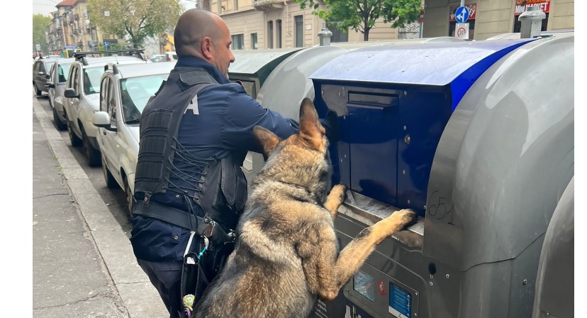 Torino – Nascondono droga nei cassonetti, con calamite: scoperti dal cane Iron. L’intervento