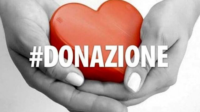 Torino – Oggi è la giornata nazionale Donazione e Trapianto: “Ancora troppi ‘No’: i dati in Piemonte