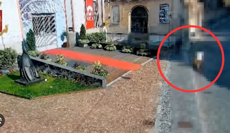 Piemonte – Rapisce una neonata dalle braccia della mamma: 30enne arrestata