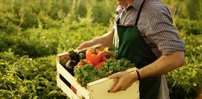 Piemonte – Lavoratori stagionali in agricoltura: dalla Regione 108mila euro ai Comune per la sistemazione temporanea in strutture abitative. Il progetto
