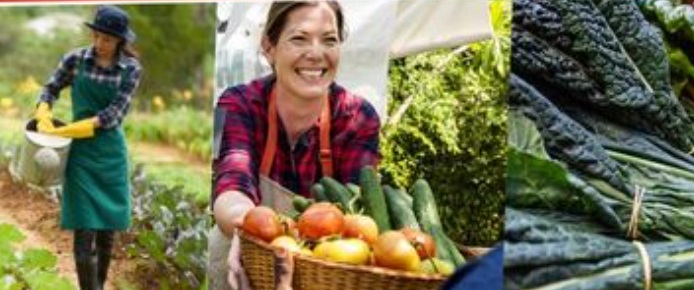 A Torino parte il “Mercato della terra sotto le stelle”: enogastronomia presentata dai grandi produttori del territorio INFO
