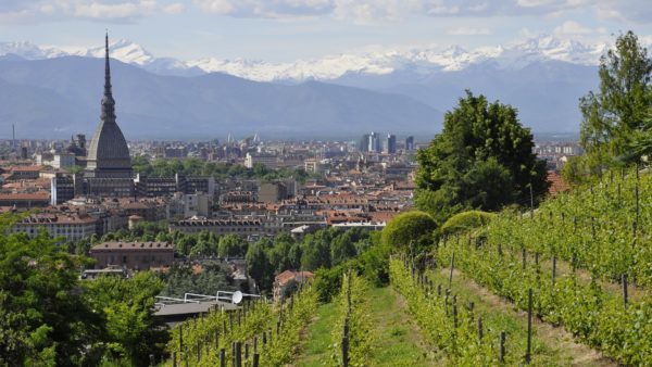 Torino verso la neutralità climatica al 2030 – Confronto aperto con le imprese del territorio