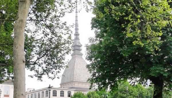 Torino, la città sarà più verde – Piantati 3mila nuovi alberi: parte il piano di ‘riforestazione urbana’