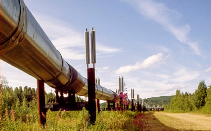 Torino – Tentano di rubare gasolio e sbagliano. Migliaia di litri di carburante in una roggia: grave danno ambientale