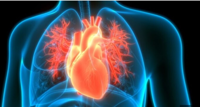 Incredibile trapianto a Torino – Cuore trasportato fuori dal torace di un uomo, batte lo stesso per 1000 km