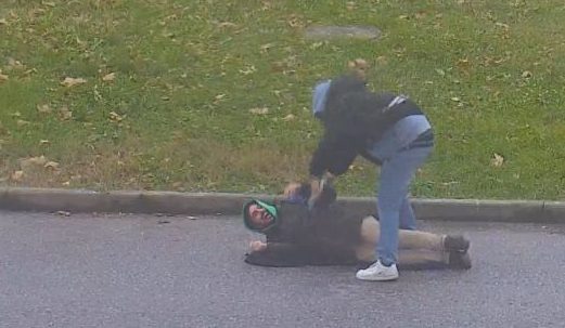 Torino – Attentato al Parco Dora, ma è finto: la simulazione durante il Kappa Futur Festival. Ecco perché