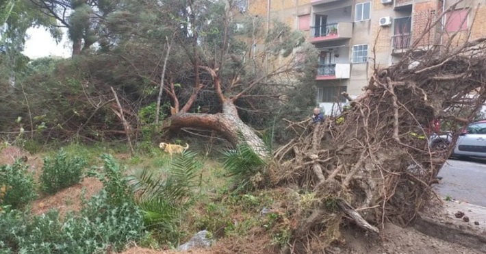 Tempesta di vento e caos nel Torinese: raffiche a 224 km, cadono alberi e lamiere, decine di interventi dei vigili del fuoco