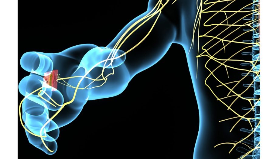 Torino – Rivoluzionario intervento al Cto: recupera uso mano paralizzata grazie ai nervi del piede: “Risultato eccezionale”