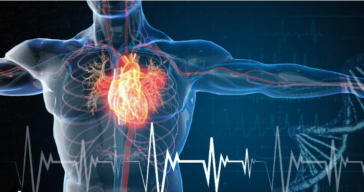 Super intervento nel Torinese – Per la prima volta in Italia impiantato un pacemaker senza fili: “Operazione perfettamente riuscita”