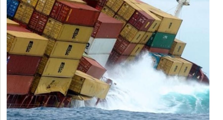 Ogni anno 1500 container finiscono nell’oceano – E la vita marina è minacciata: i dati allarmanti