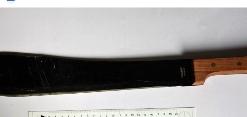 Torino – Trovato Machete in strada. Petrarulo: “Sicurezza in periferia fuori controllo”