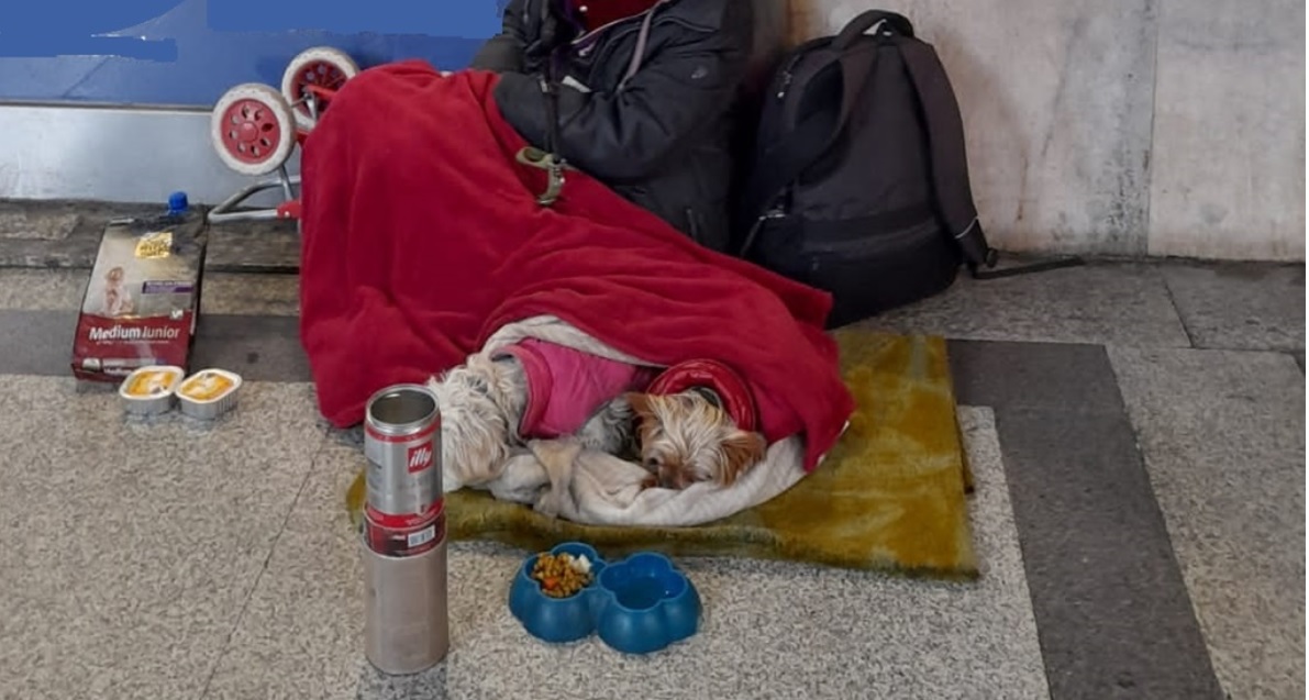 Torino – Usano cagnolini per mendicare, guadagnando anche 800 euro a settimana. 20 denunce